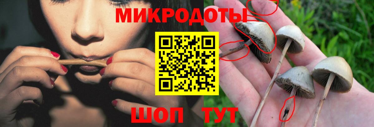 Галлюциногенные грибы GOLDEN TEACHER  Вход с VPN  Набережные Челны 